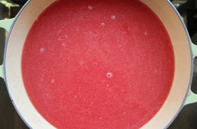 sparkling-watermelon-punch-bowl-with-vodka-step-3