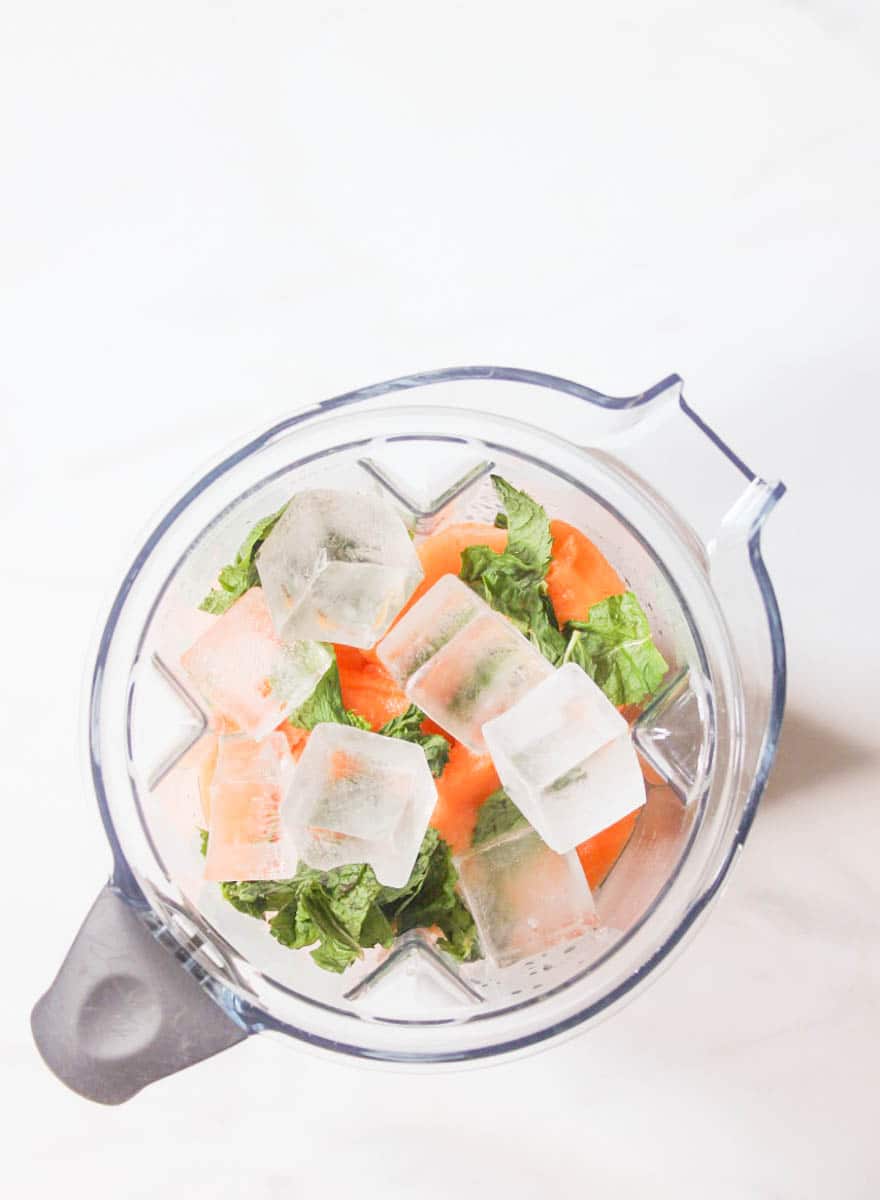 Cantaloupe-Cooler-Cocktail-11